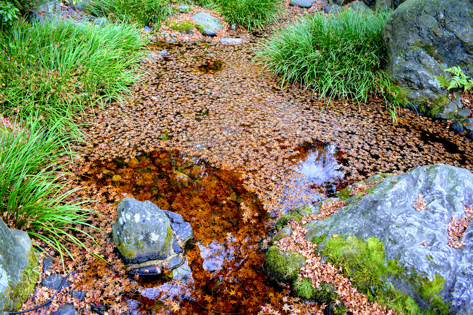 Nikon D3300 sample photo. () photography