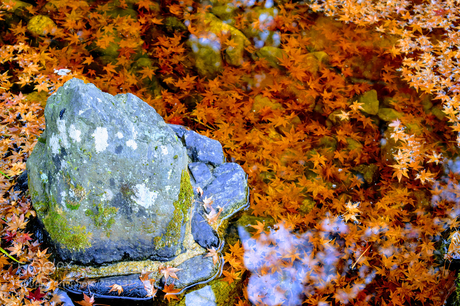 Nikon D3300 sample photo. Dsc photography