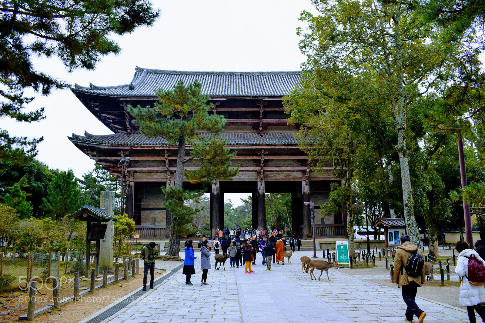 Nikon D3300 sample photo. () photography