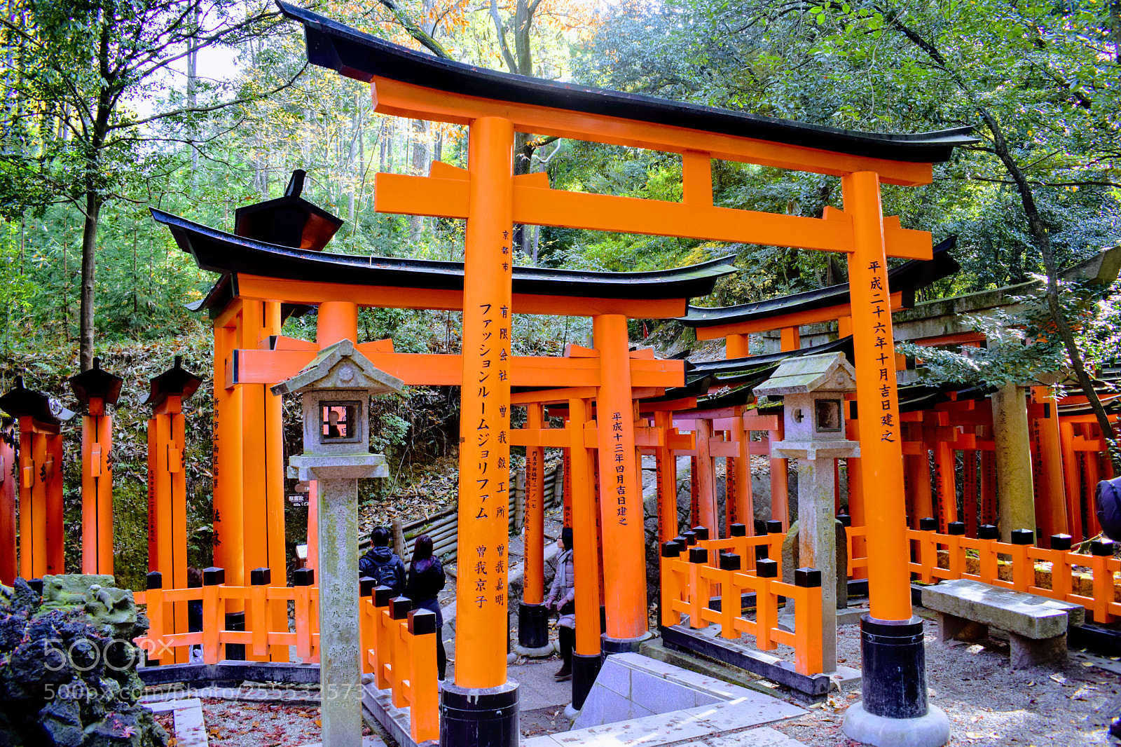 Nikon D3300 sample photo. () photography