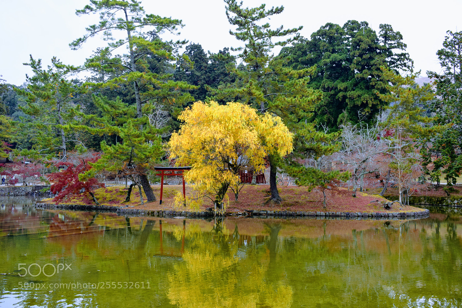 Nikon D3300 sample photo. Dsc photography