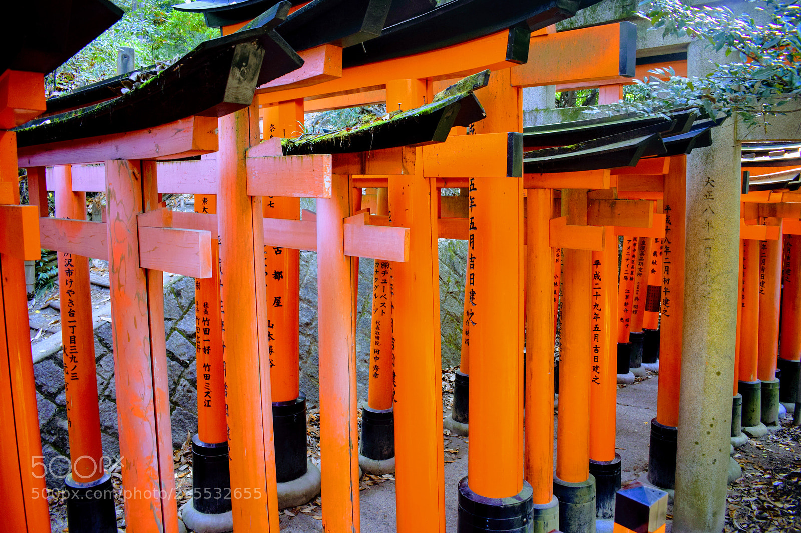 Nikon D3300 sample photo. () photography