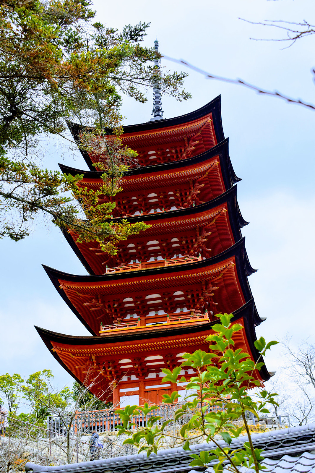 Nikon D3300 sample photo. () photography