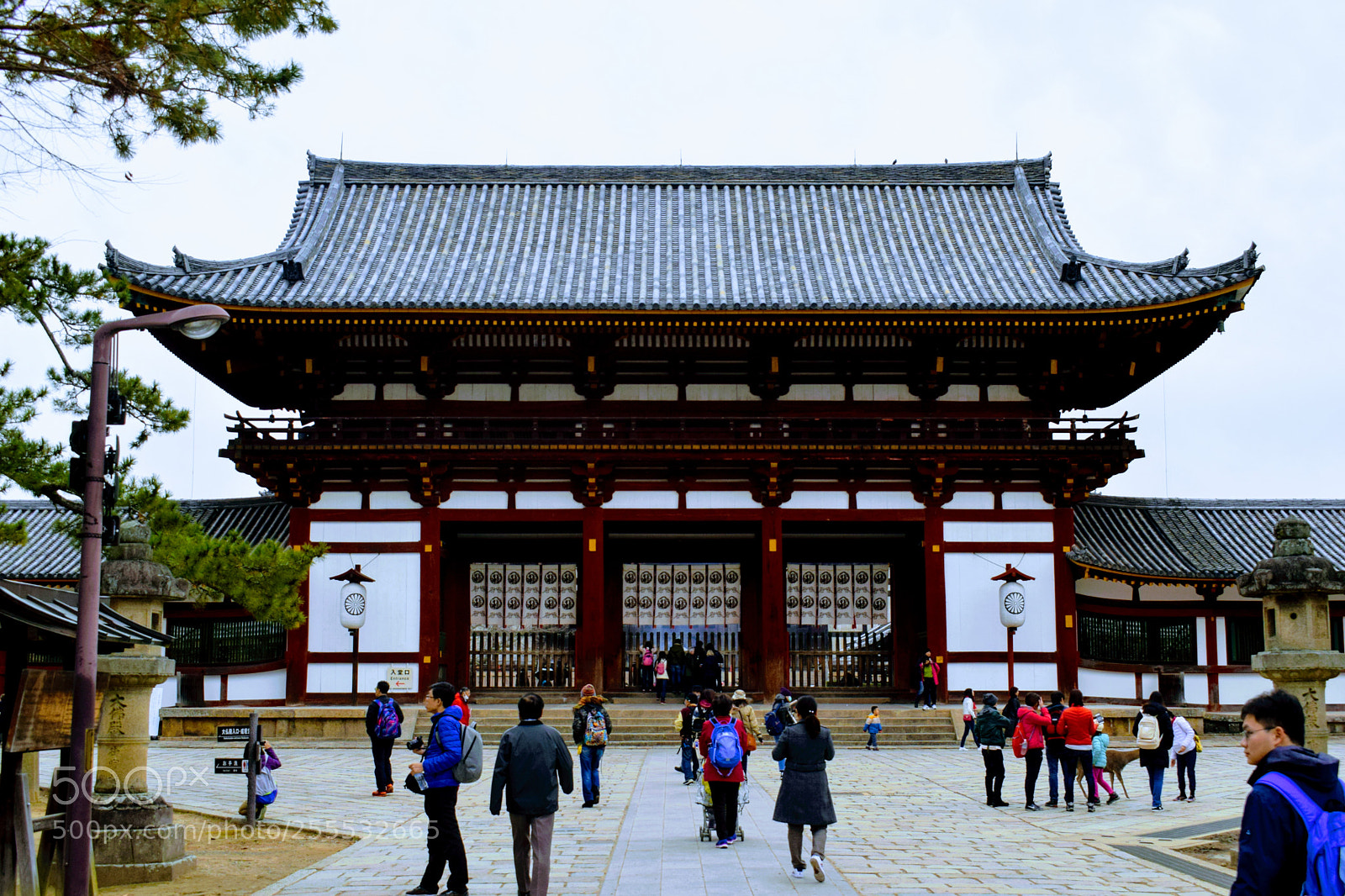 Nikon D3300 sample photo. Dsc photography