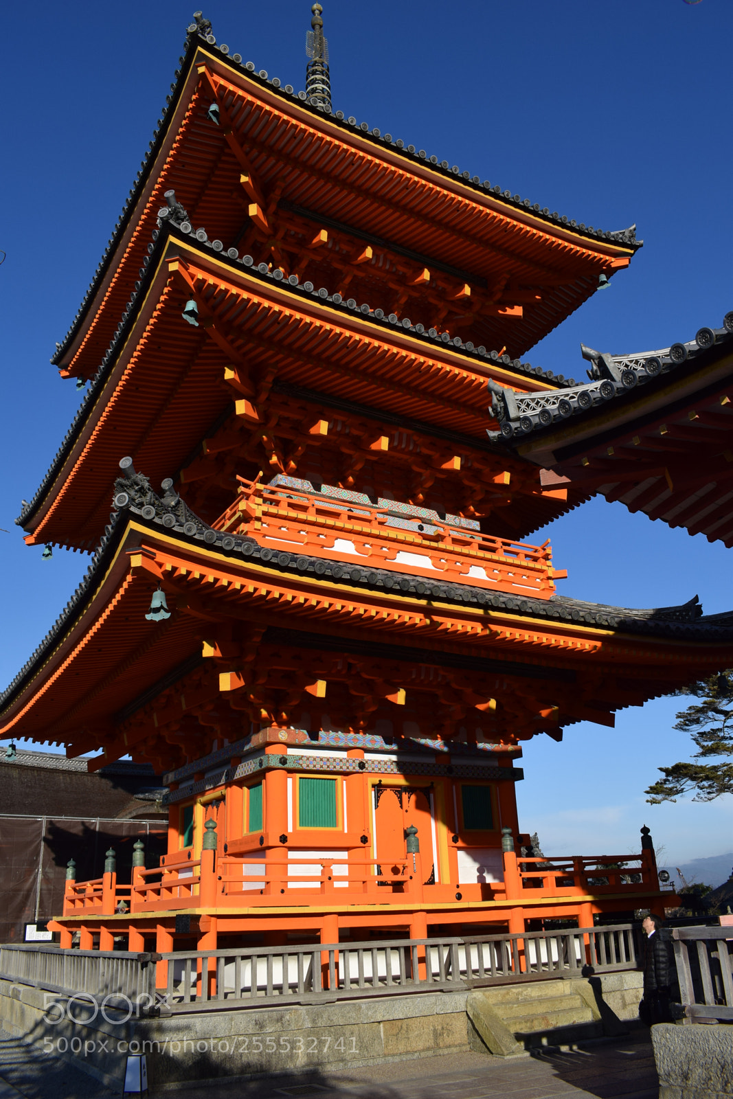 Nikon D3300 sample photo. Dsc photography