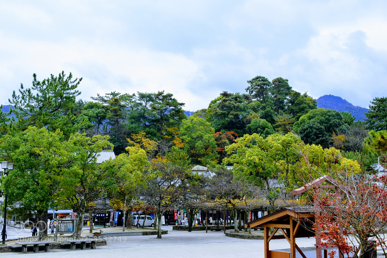Nikon D3300 sample photo. () photography