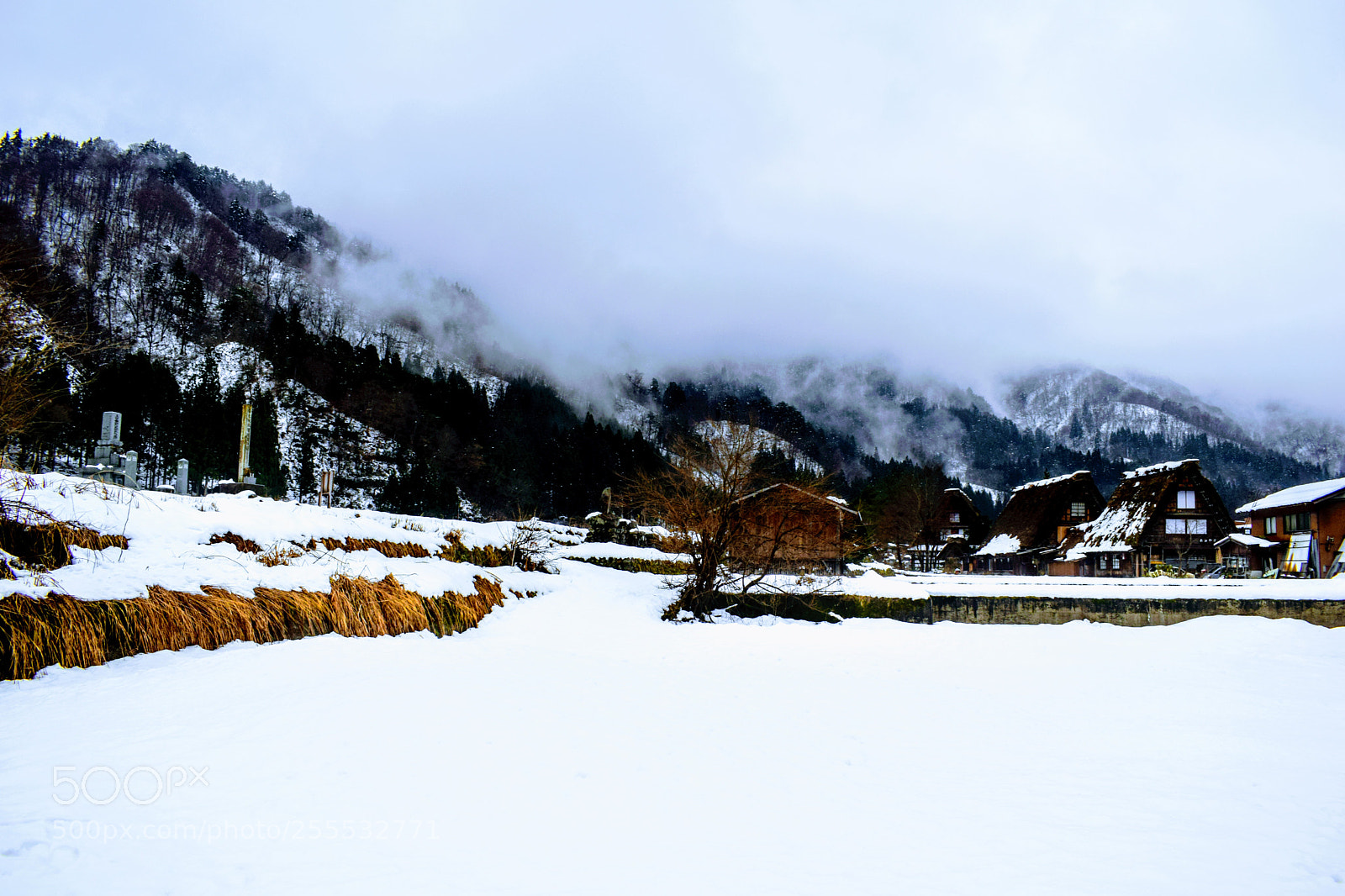 Nikon D3300 sample photo. () photography