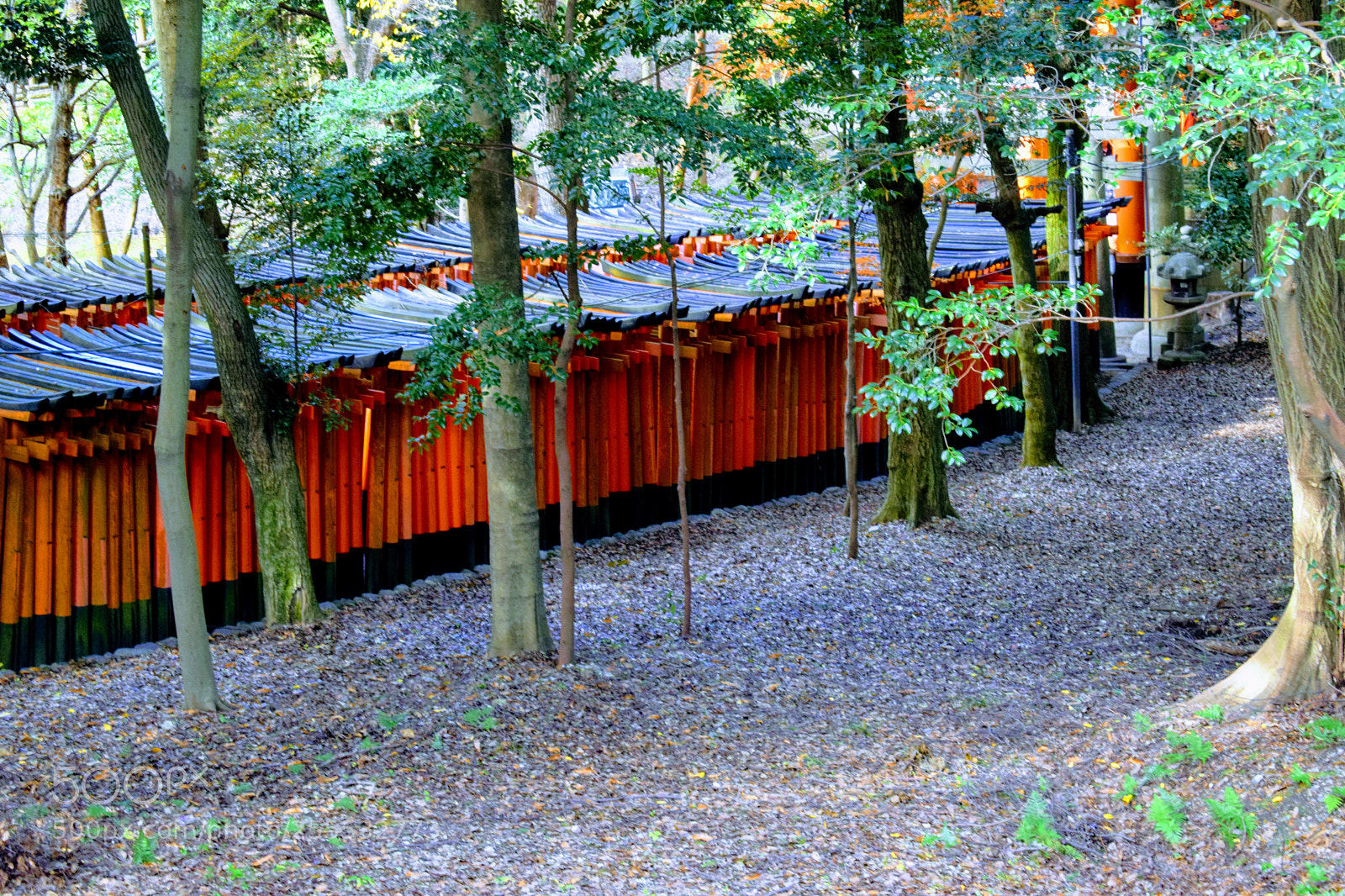 Nikon D3300 sample photo. Dsc photography