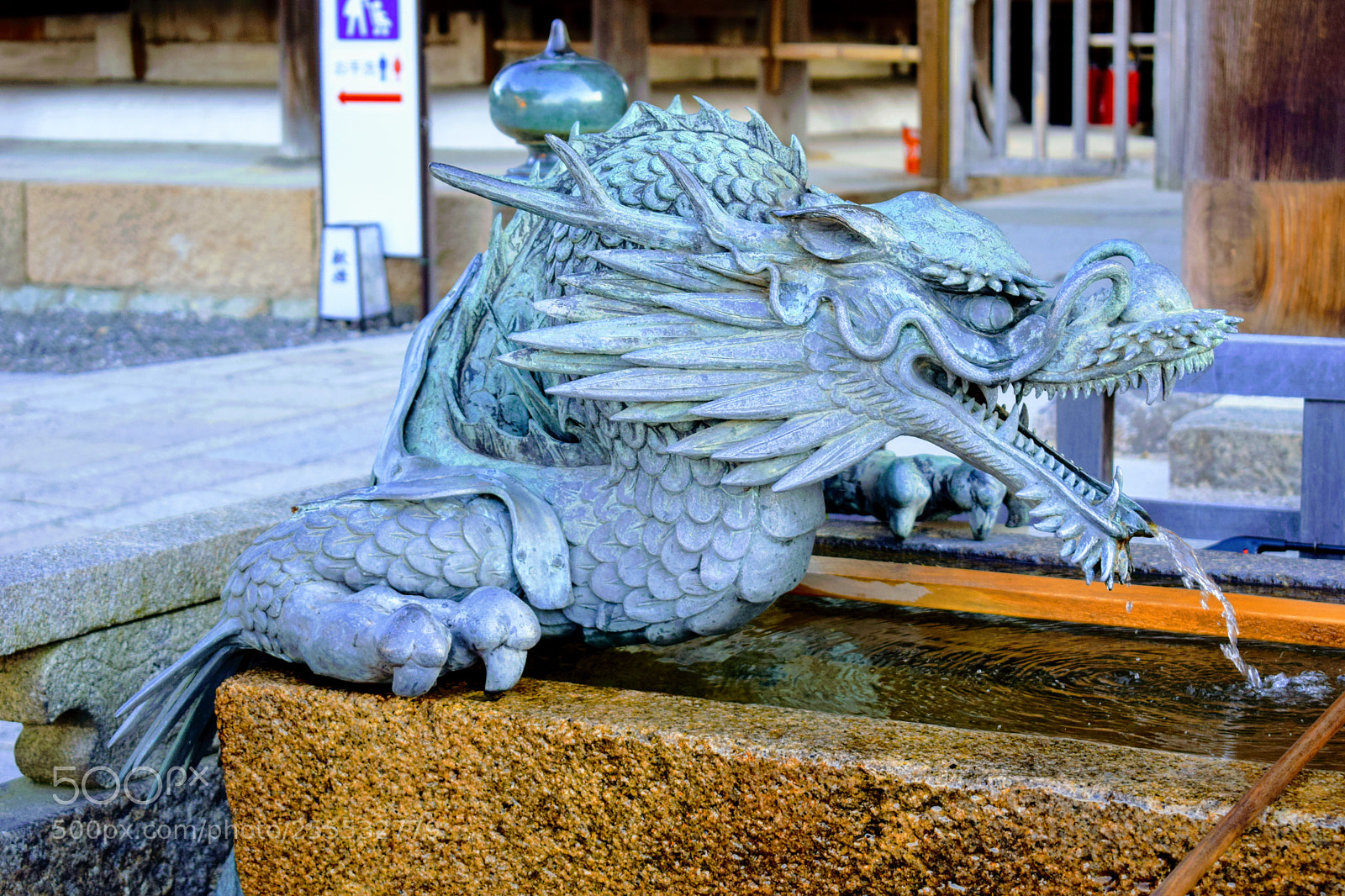 Nikon D3300 sample photo. Dsc photography