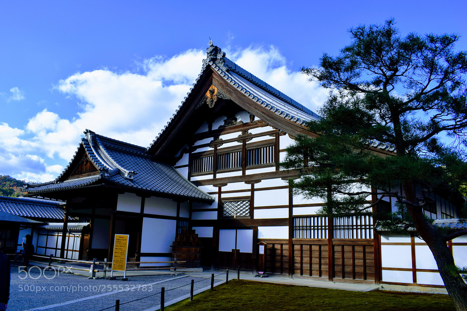Nikon D3300 sample photo. Dsc photography