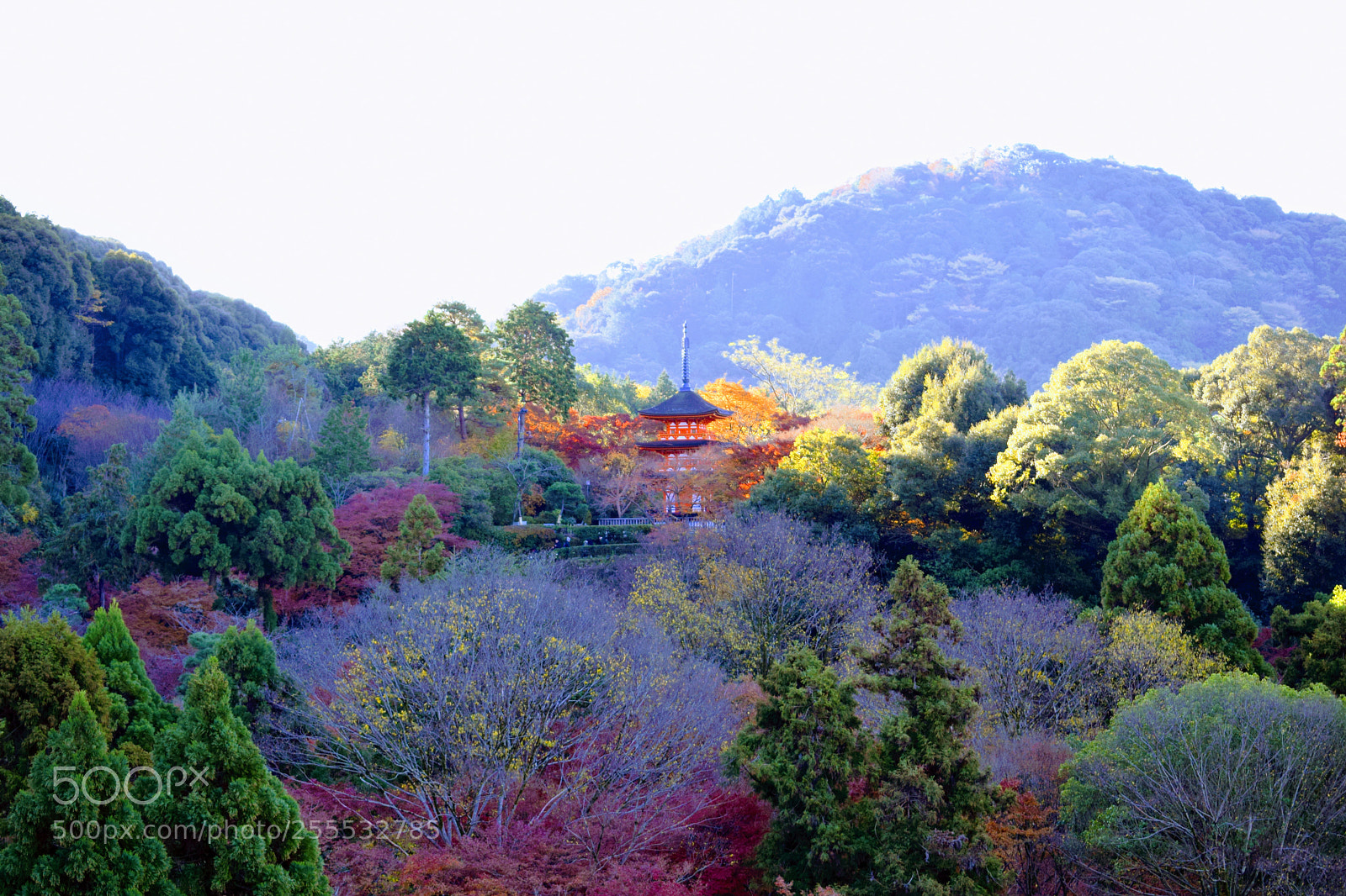 Nikon D3300 sample photo. Dsc photography