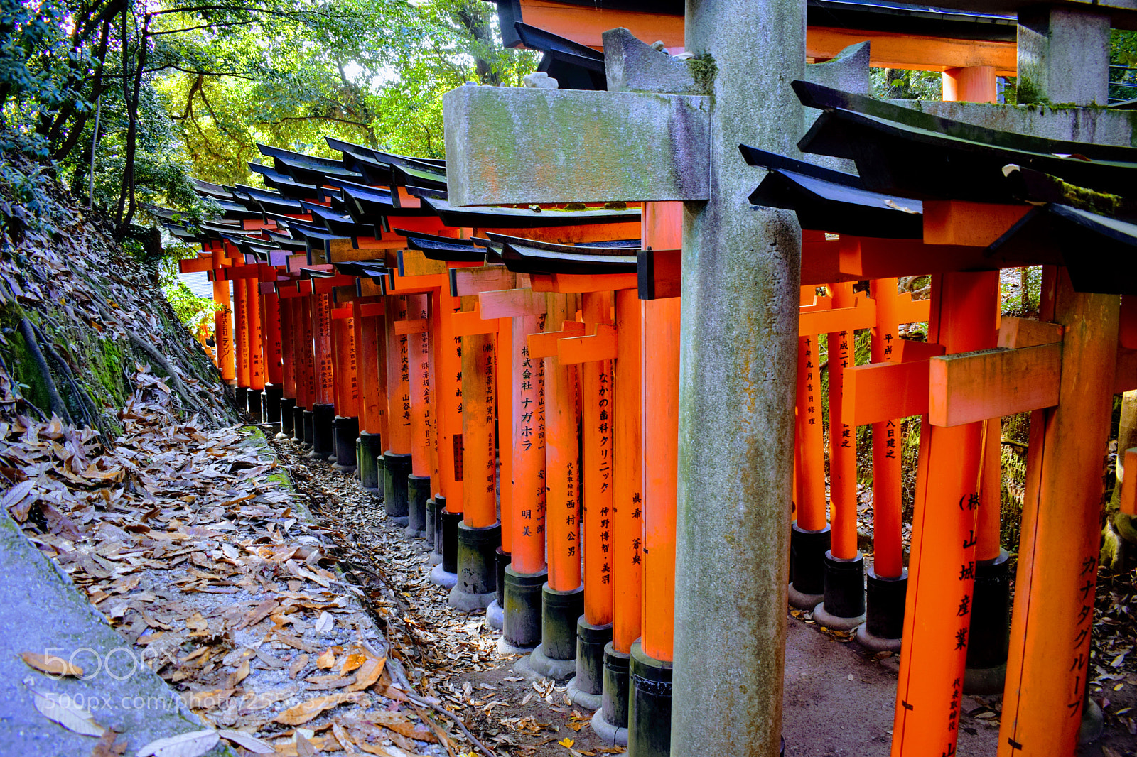 Nikon D3300 sample photo. () photography
