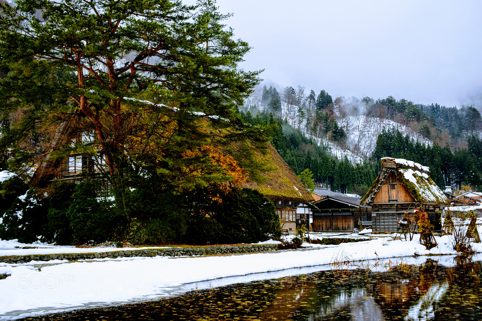 Nikon D3300 sample photo. () photography