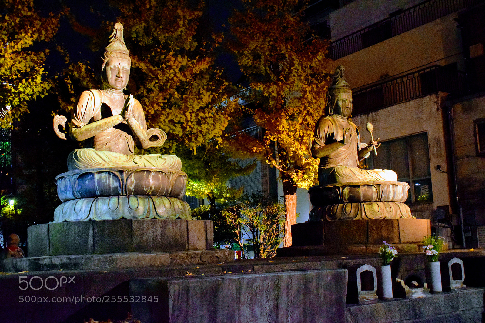 Nikon D3300 sample photo. Dsc photography