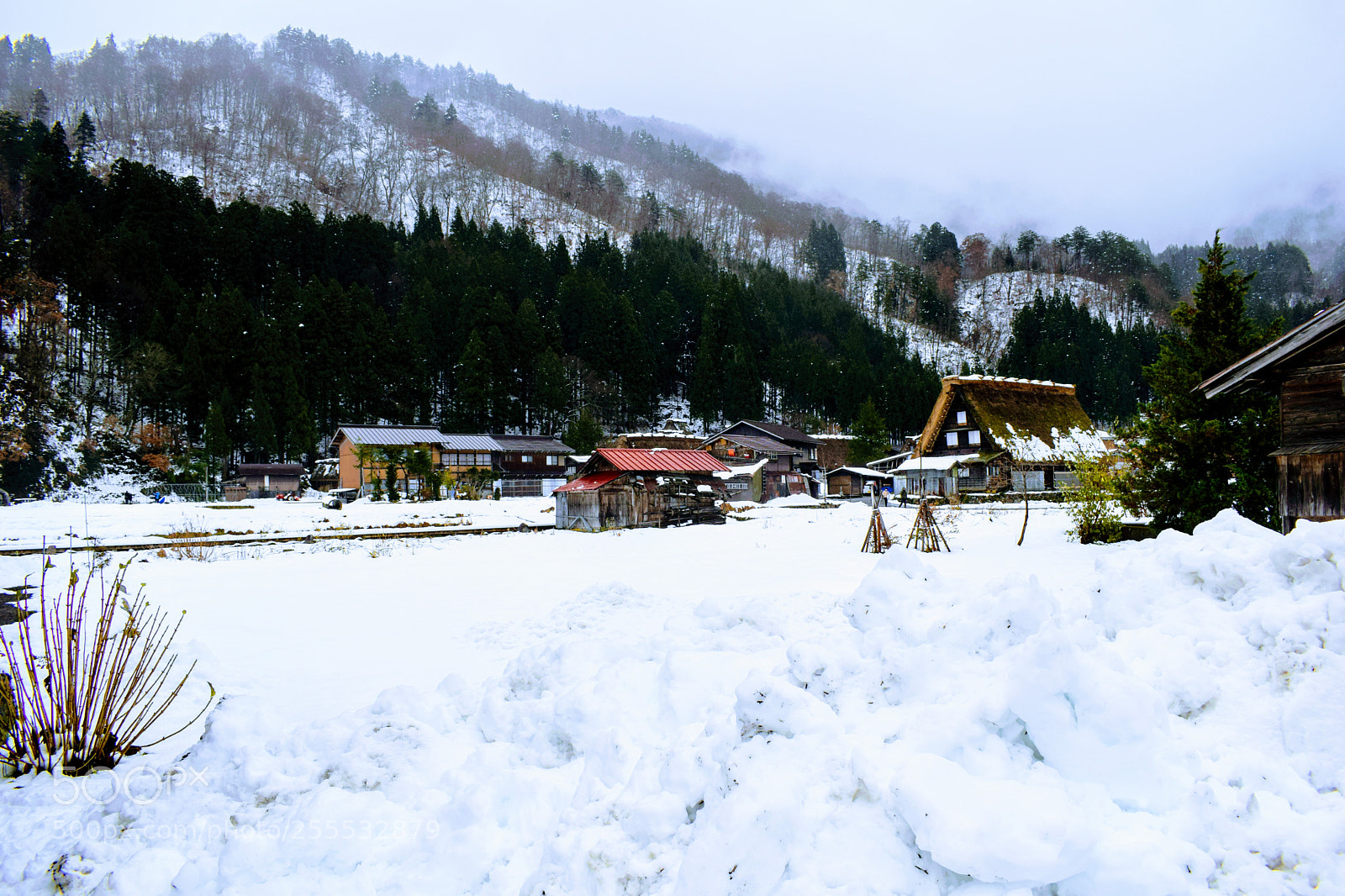 Nikon D3300 sample photo. () photography