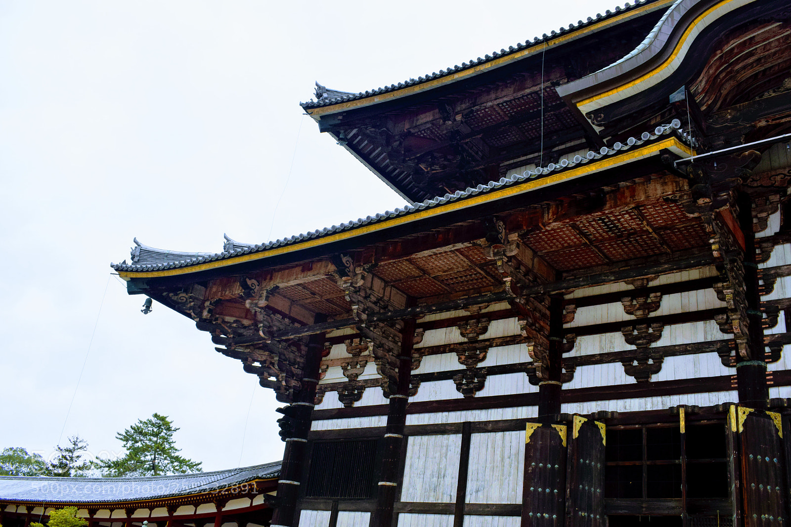 Nikon D3300 sample photo. () photography