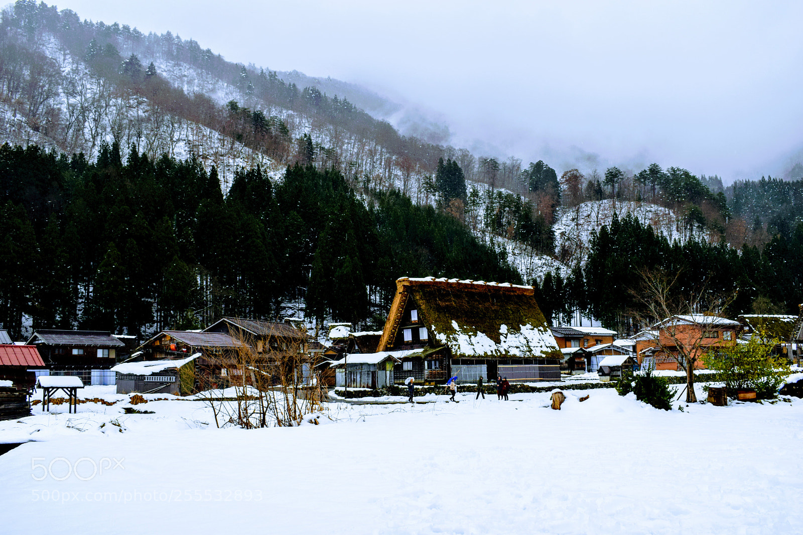 Nikon D3300 sample photo. () photography