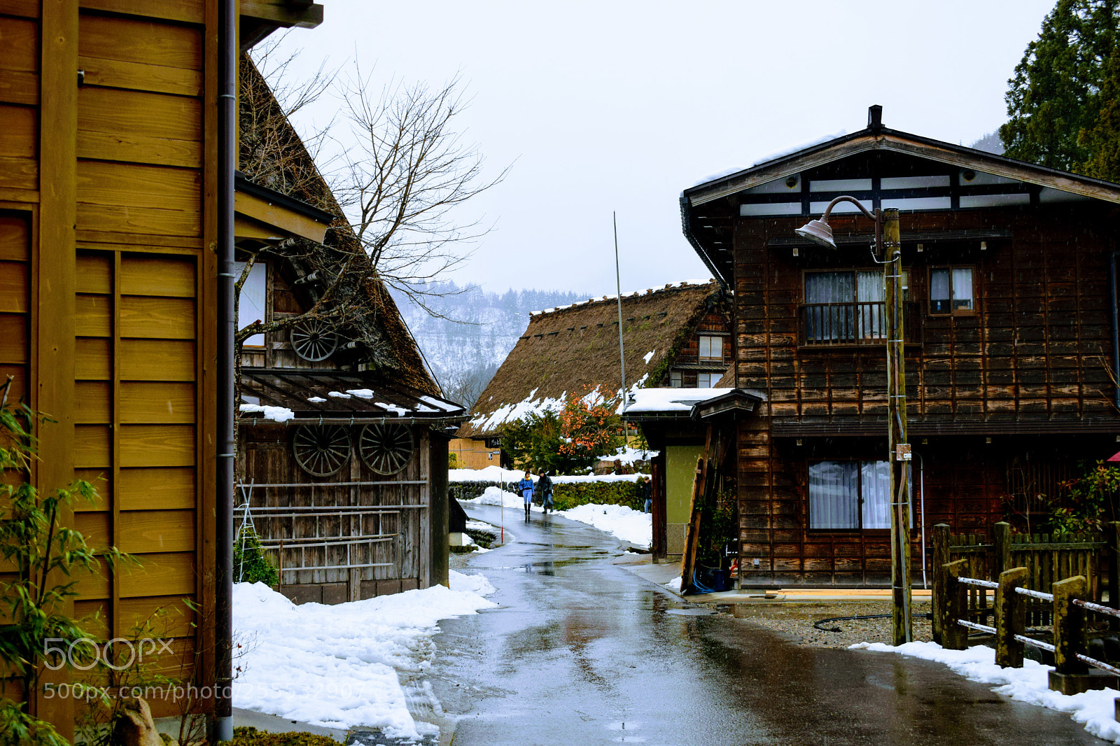 Nikon D3300 sample photo. () photography