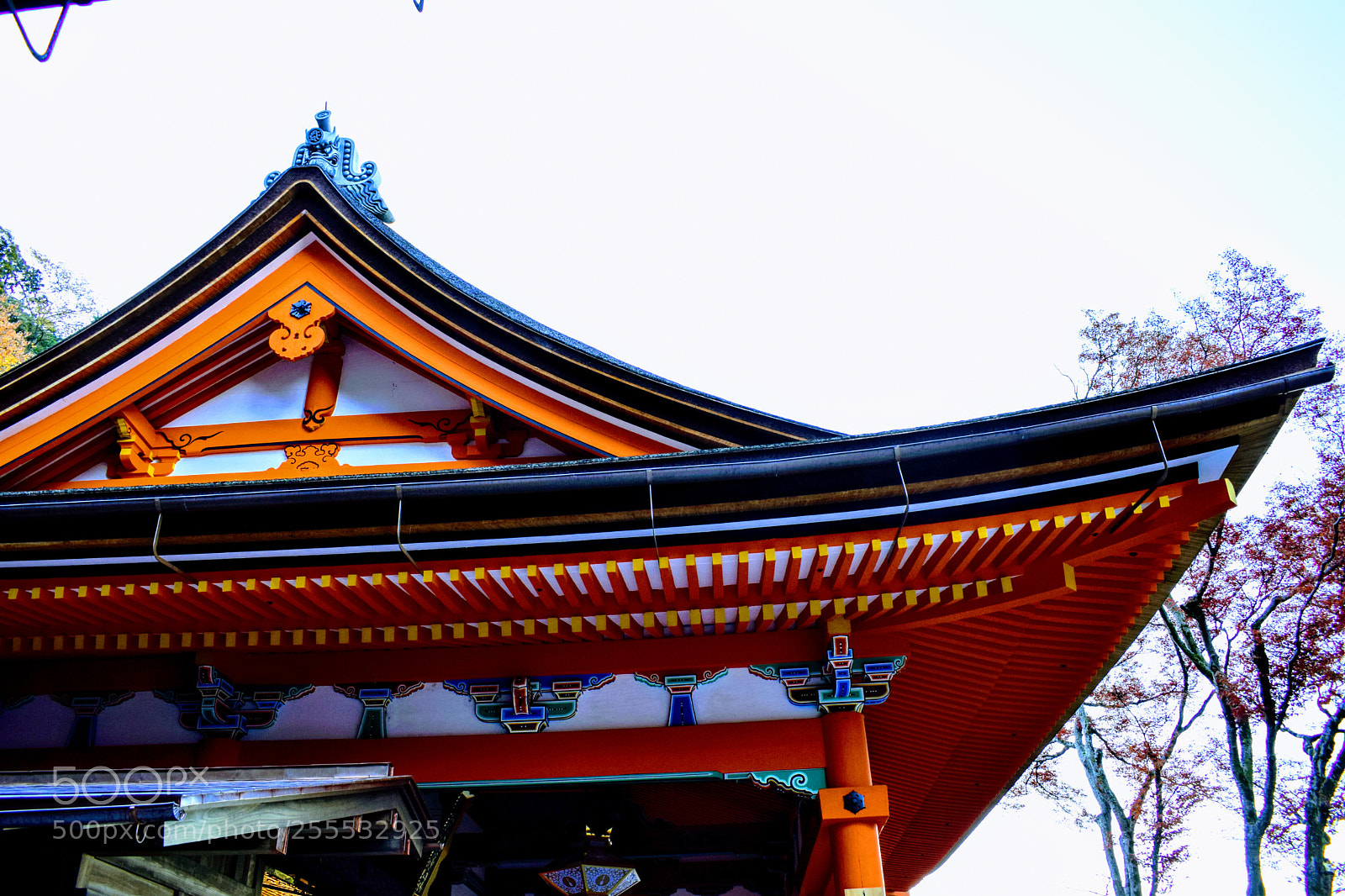 Nikon D3300 sample photo. Dsc photography