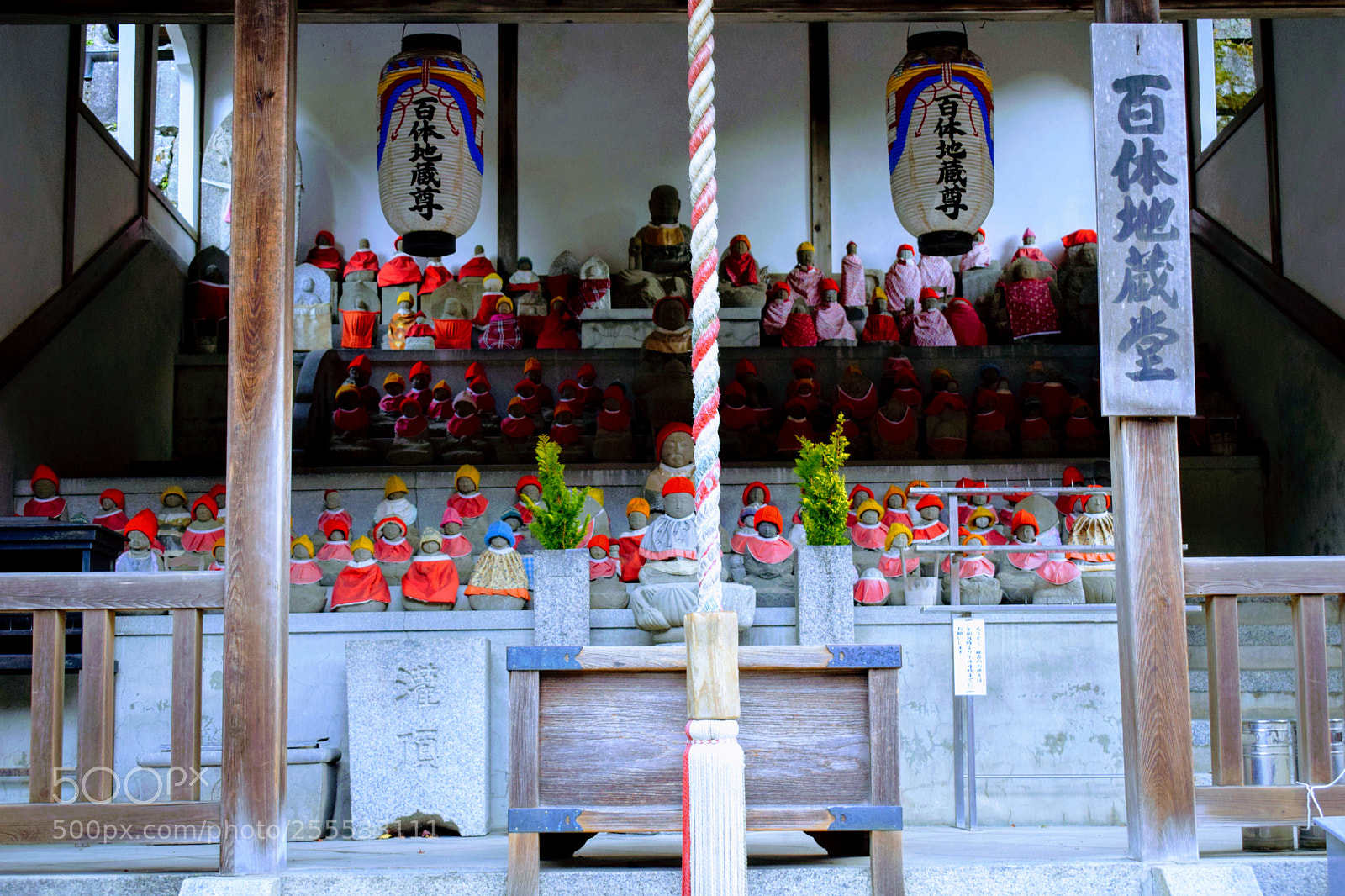 Nikon D3300 sample photo. Dsc photography