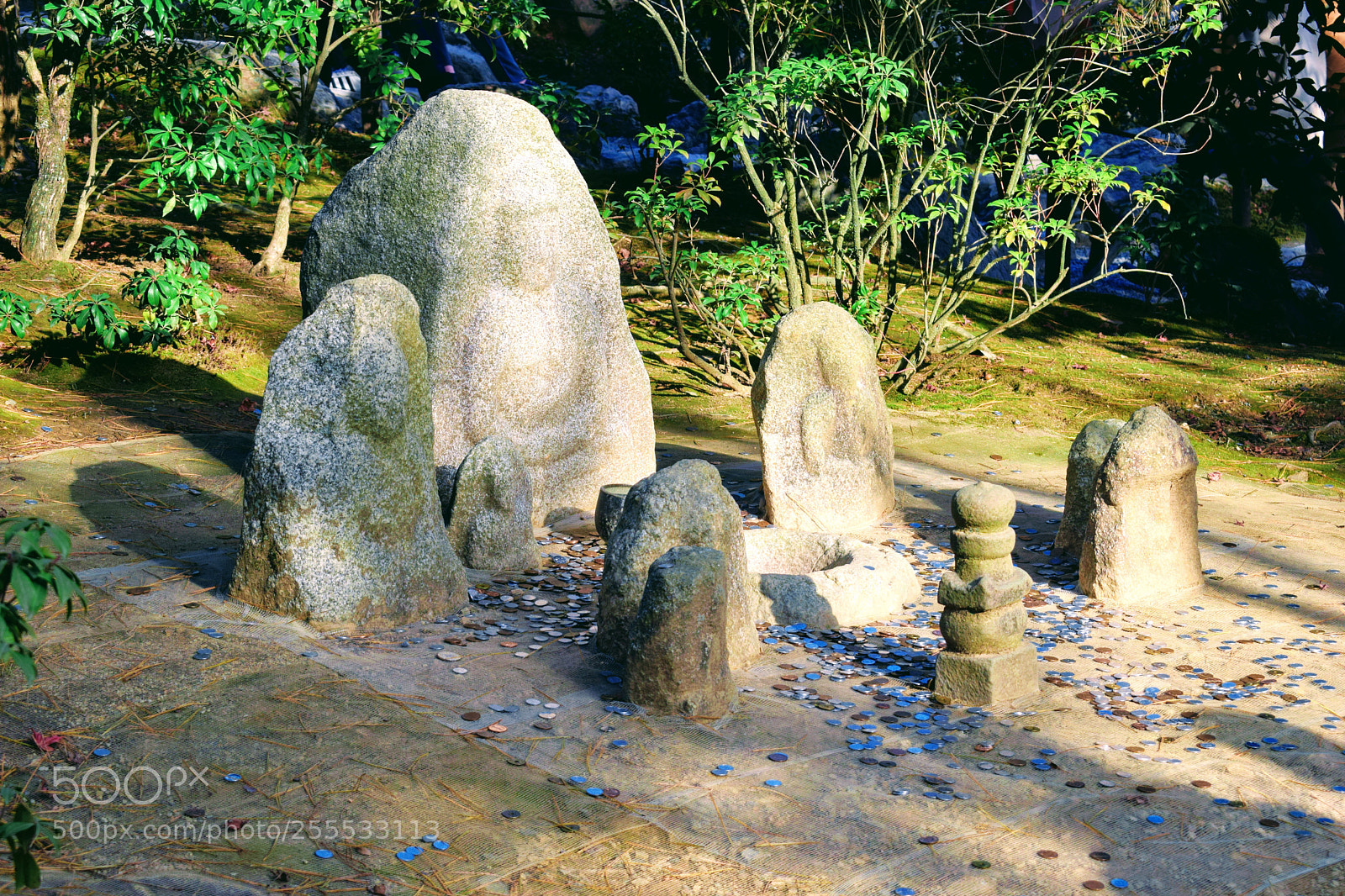 Nikon D3300 sample photo. () photography