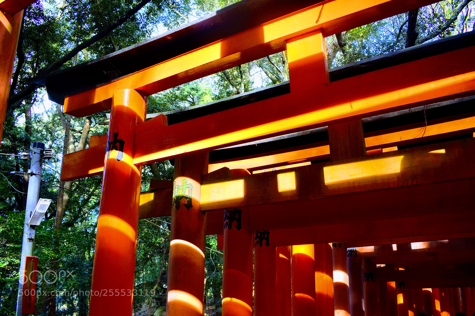 Nikon D3300 sample photo. () photography