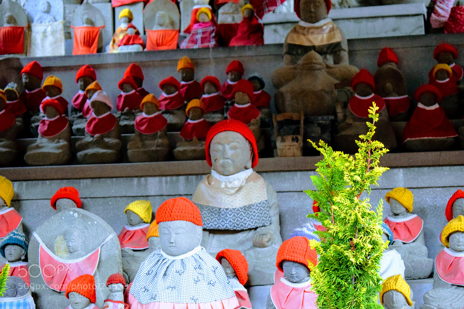 Nikon D3300 sample photo. () photography