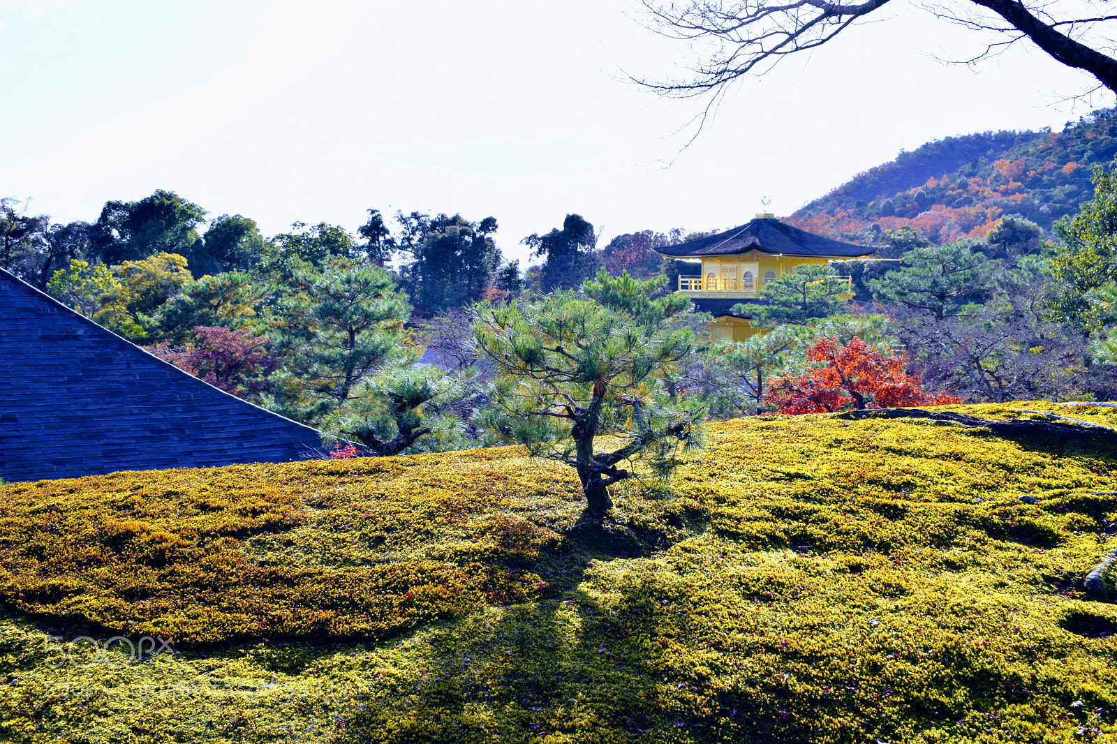 Nikon D3300 sample photo. Dsc photography