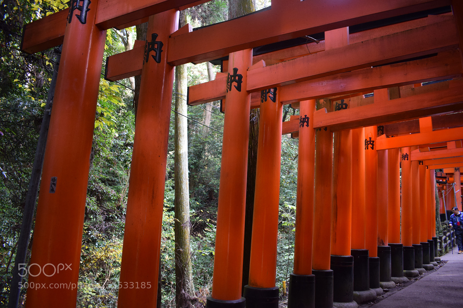 Nikon D3300 sample photo. () photography