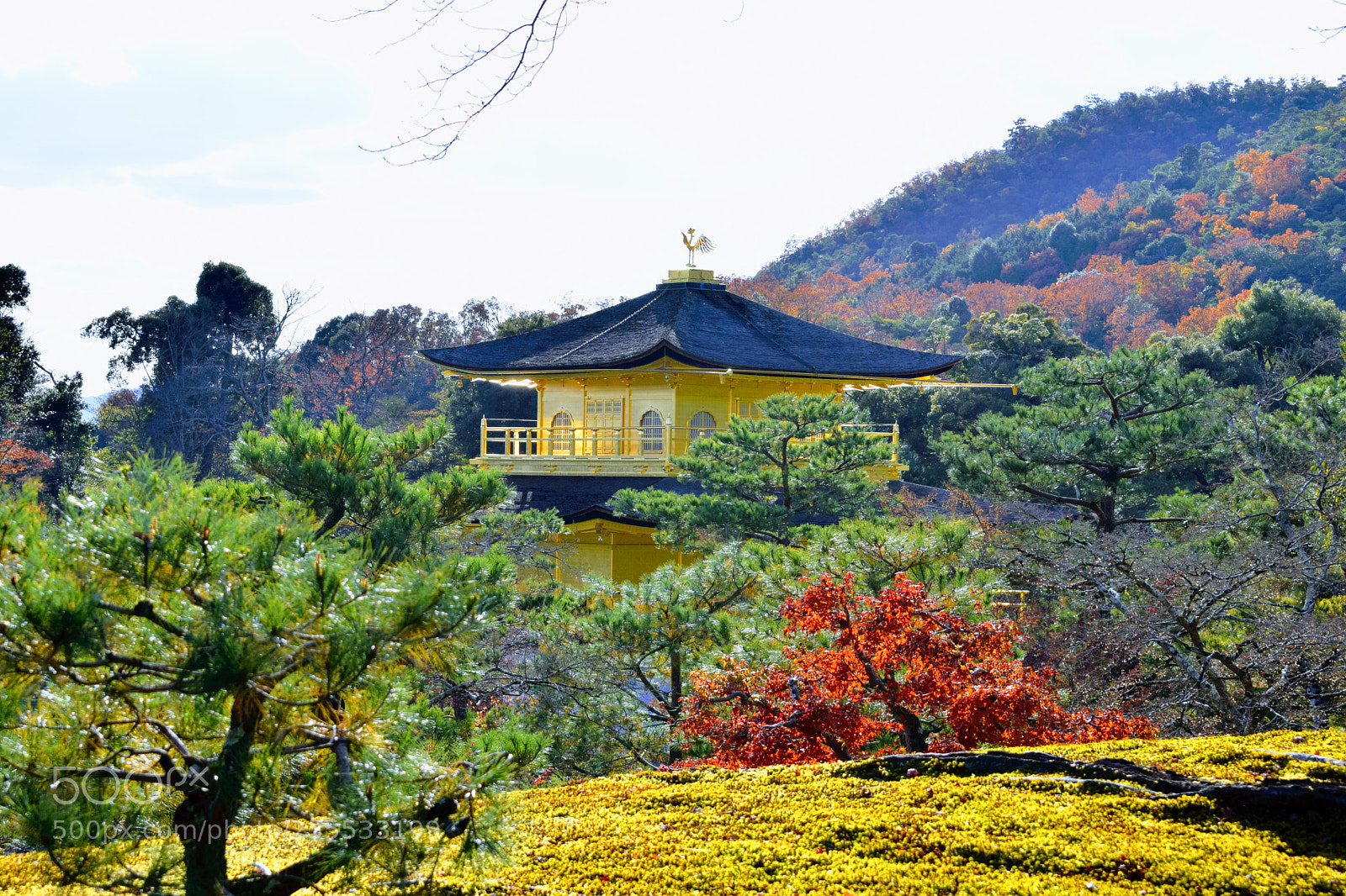 Nikon D3300 sample photo. () photography