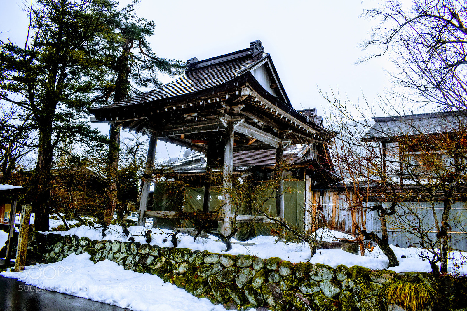 Nikon D3300 sample photo. Dsc photography