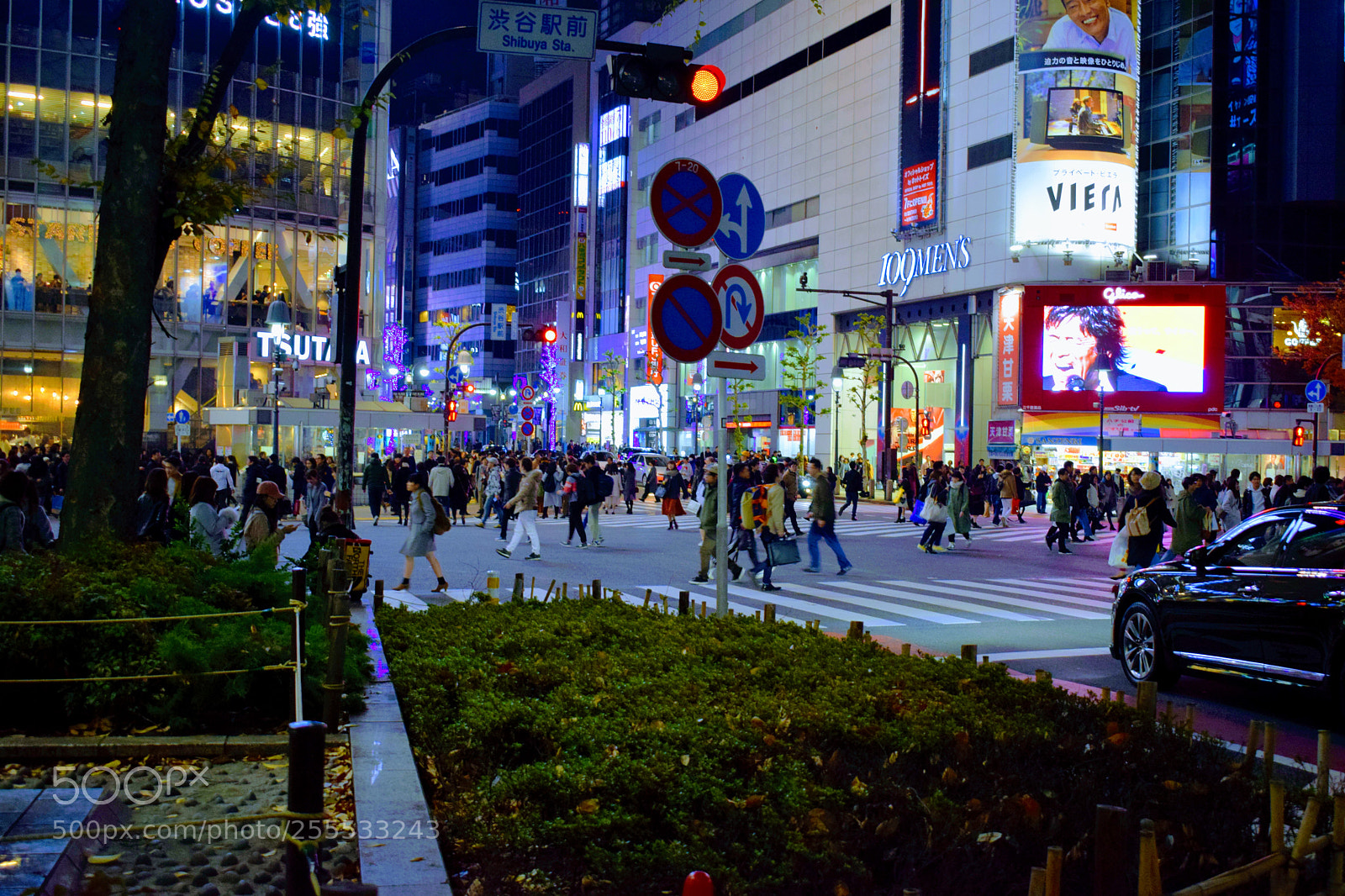 Nikon D3300 sample photo. Dsc photography