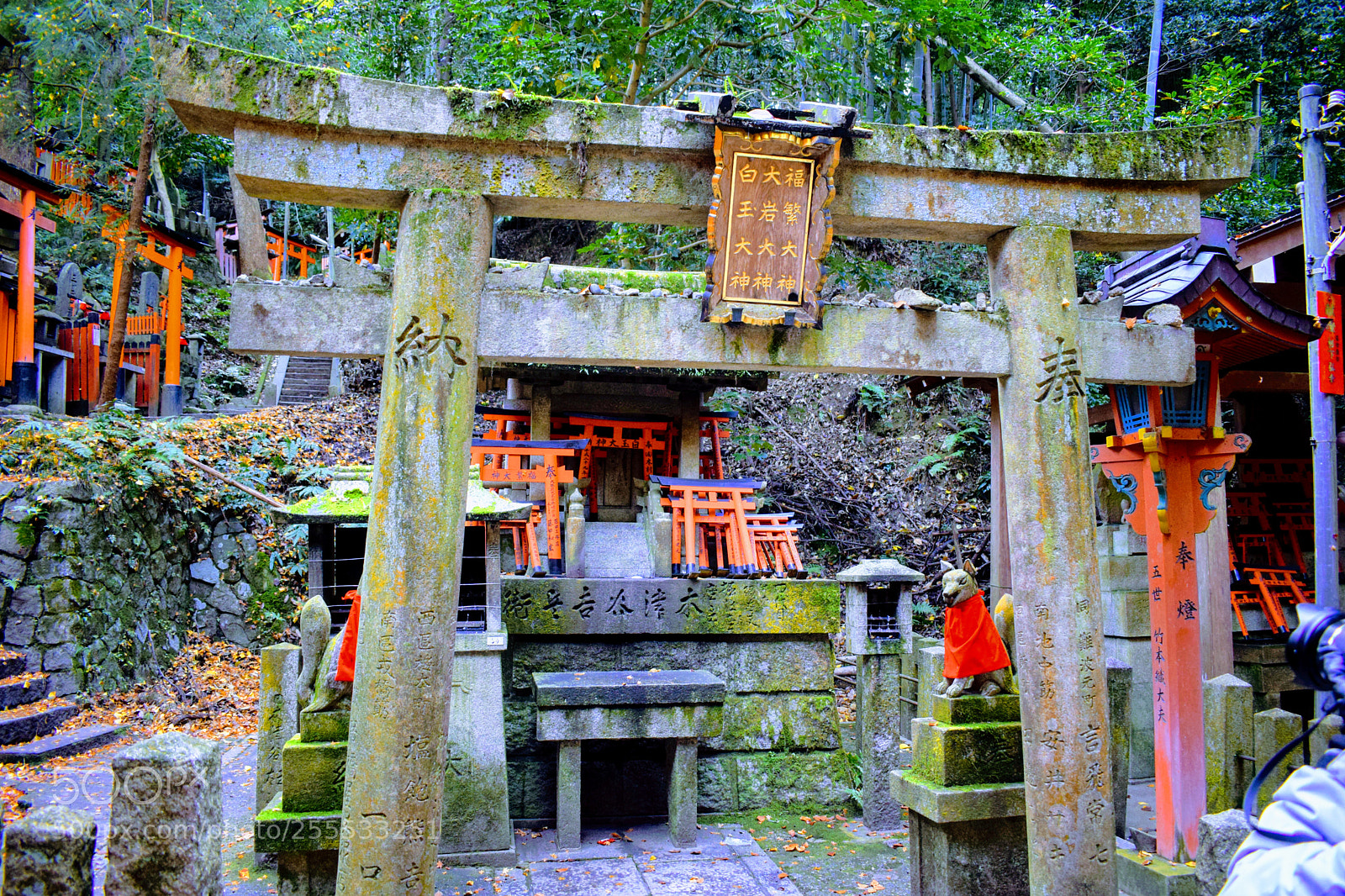 Nikon D3300 sample photo. Dsc photography