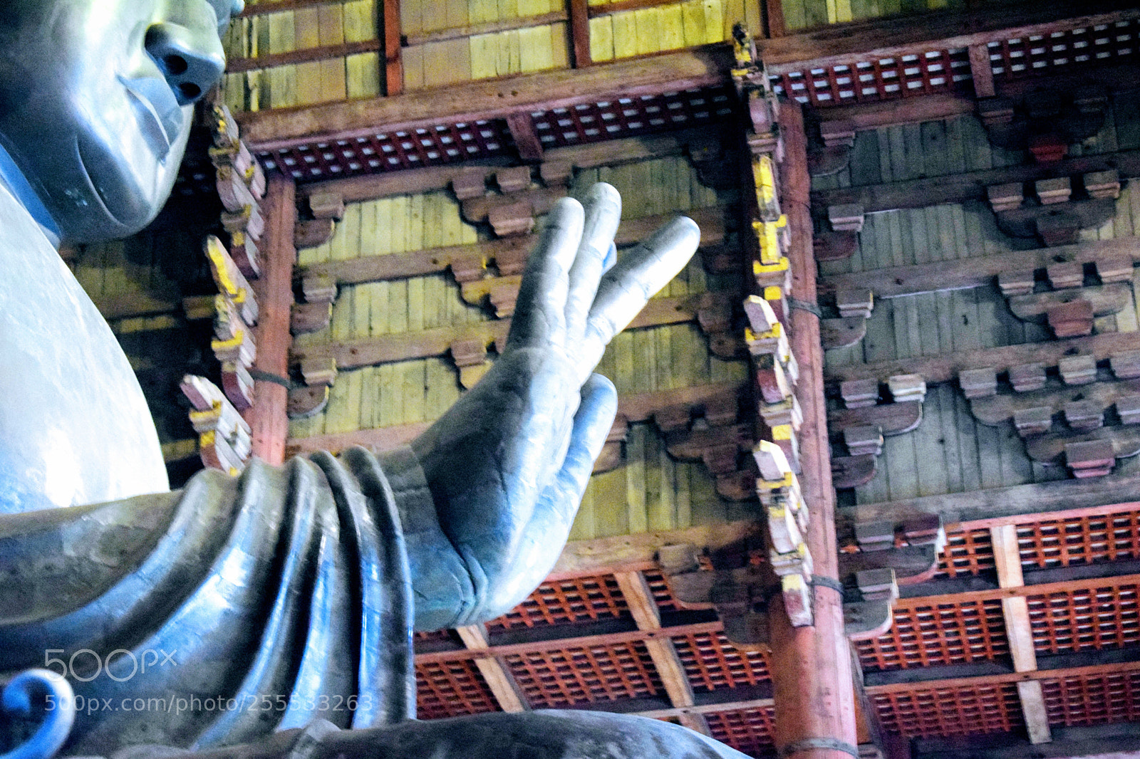 Nikon D3300 sample photo. Dsc photography