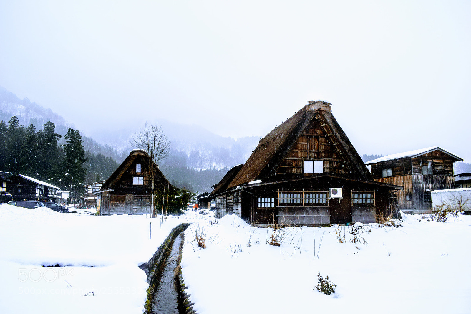 Nikon D3300 sample photo. () photography