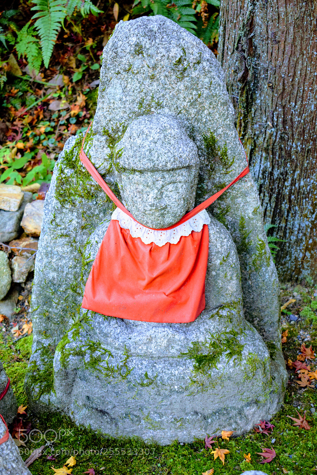 Nikon D3300 sample photo. Dsc photography