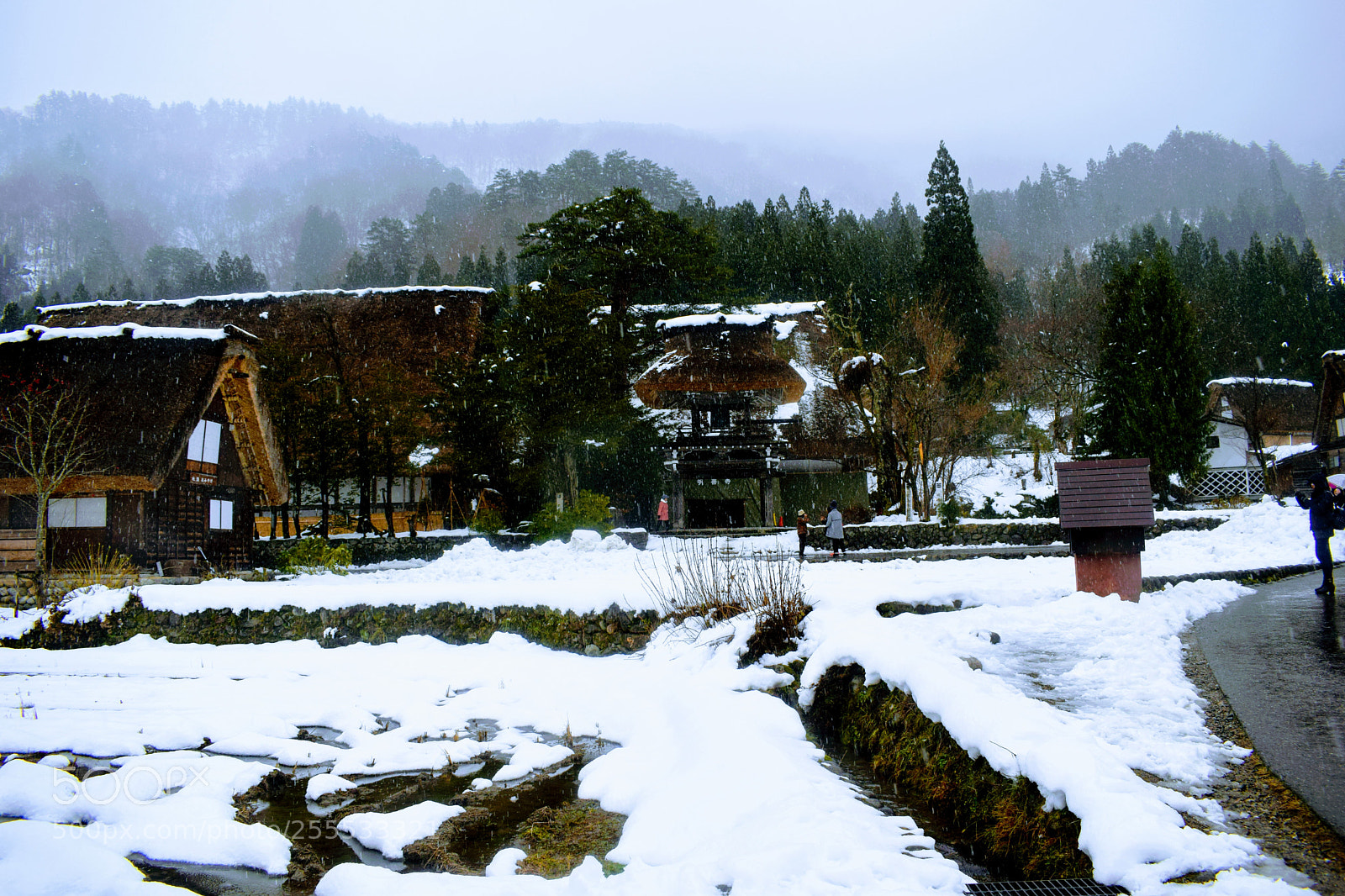 Nikon D3300 sample photo. () photography