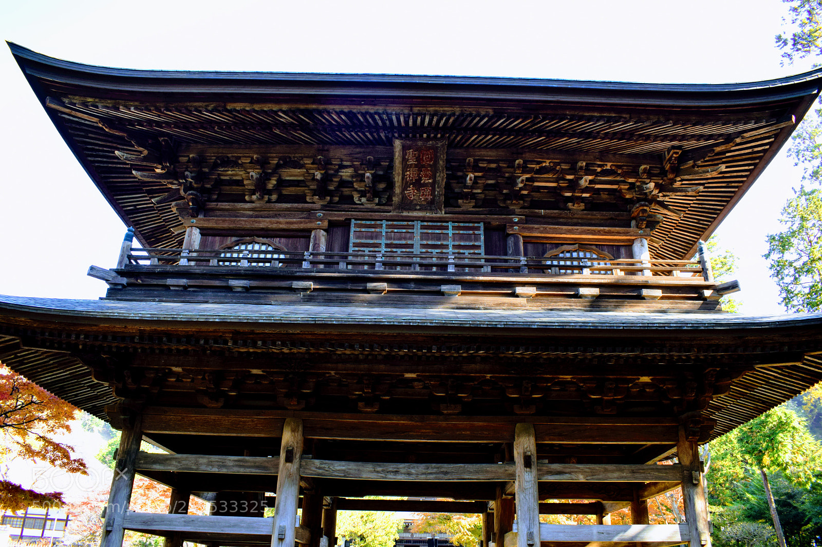 Nikon D3300 sample photo. Dsc photography