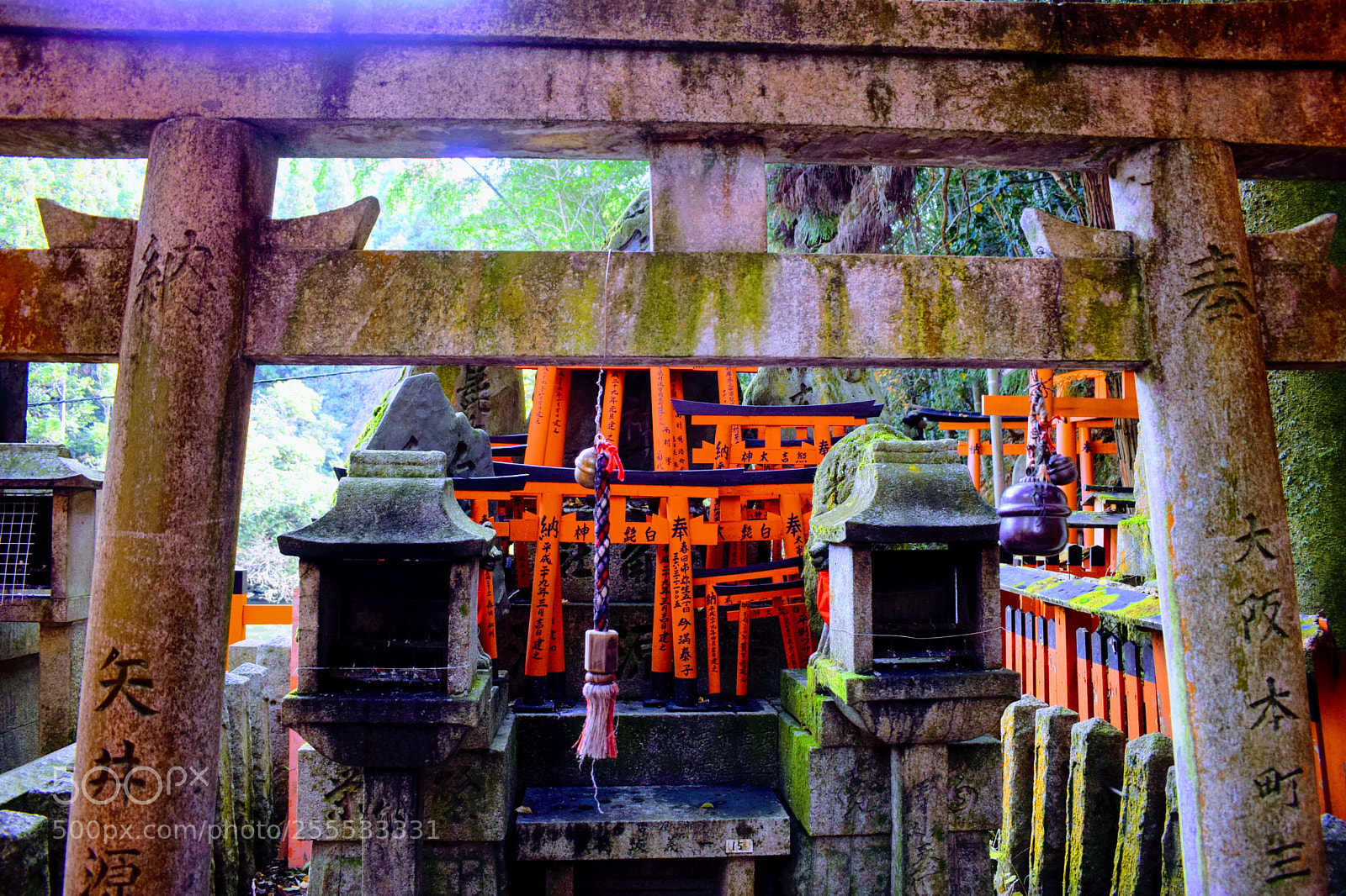 Nikon D3300 sample photo. () photography