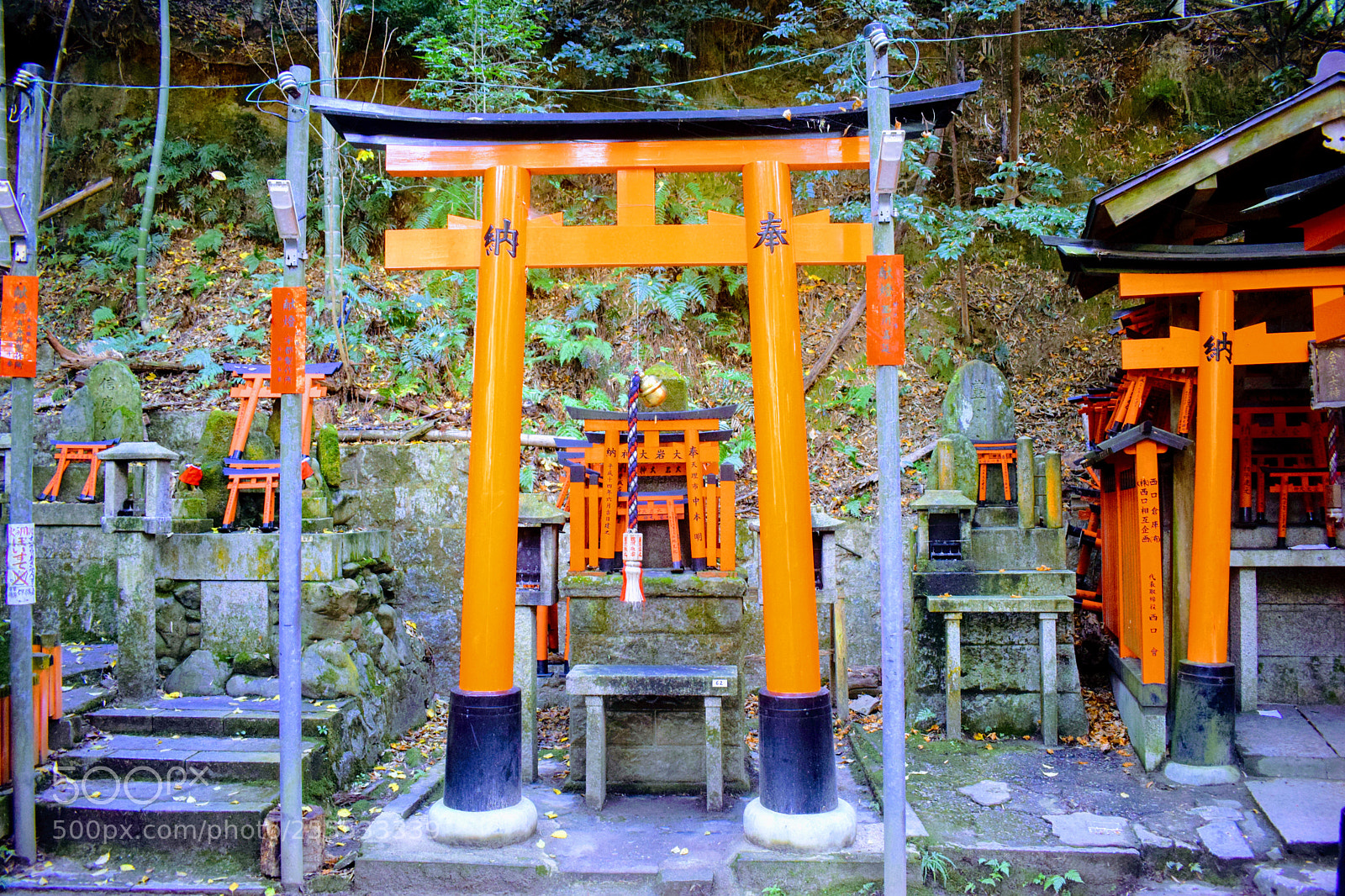 Nikon D3300 sample photo. Dsc photography