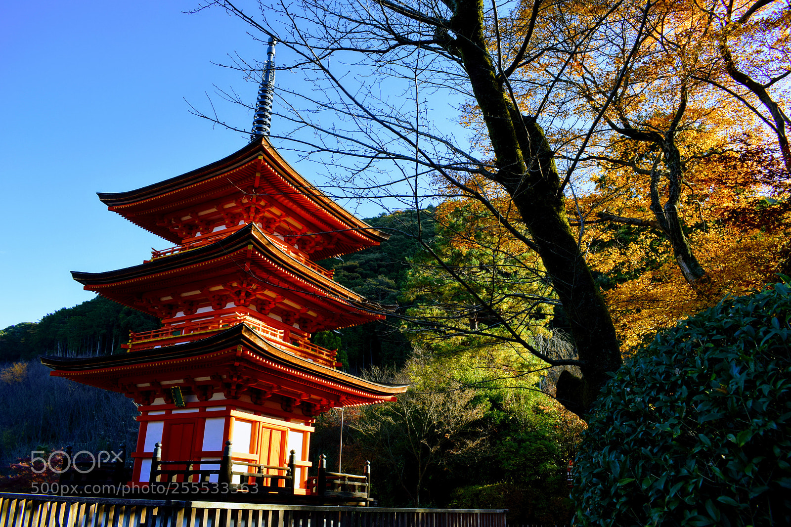 Nikon D3300 sample photo. Dsc photography