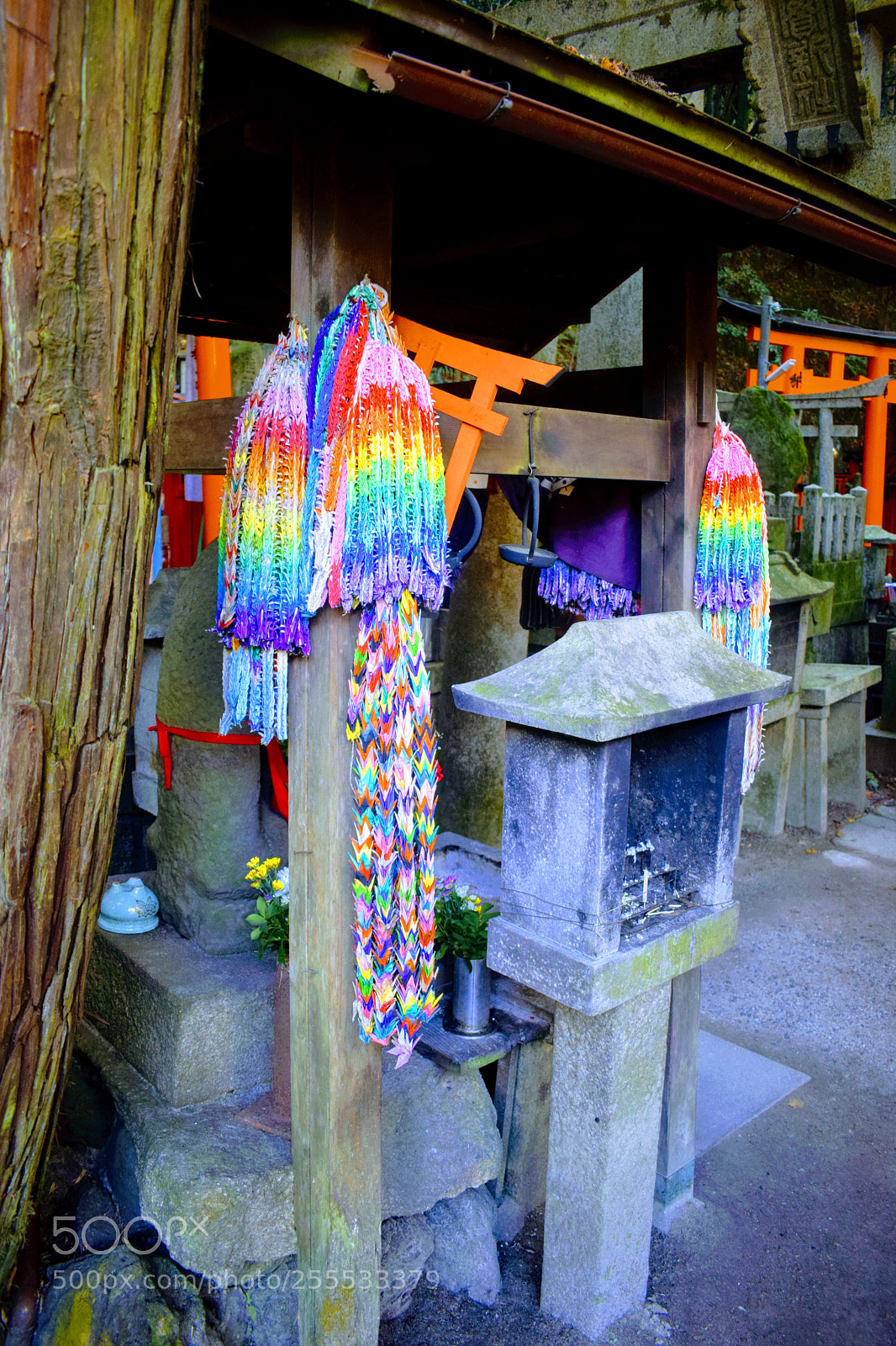 Nikon D3300 sample photo. () photography
