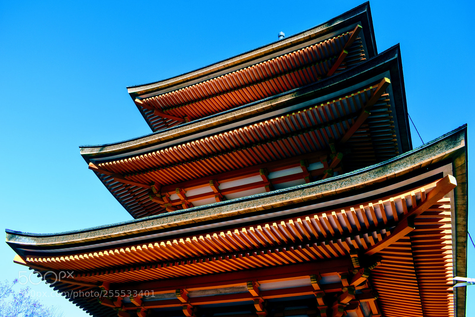 Nikon D3300 sample photo. Kyoto pagoda photography