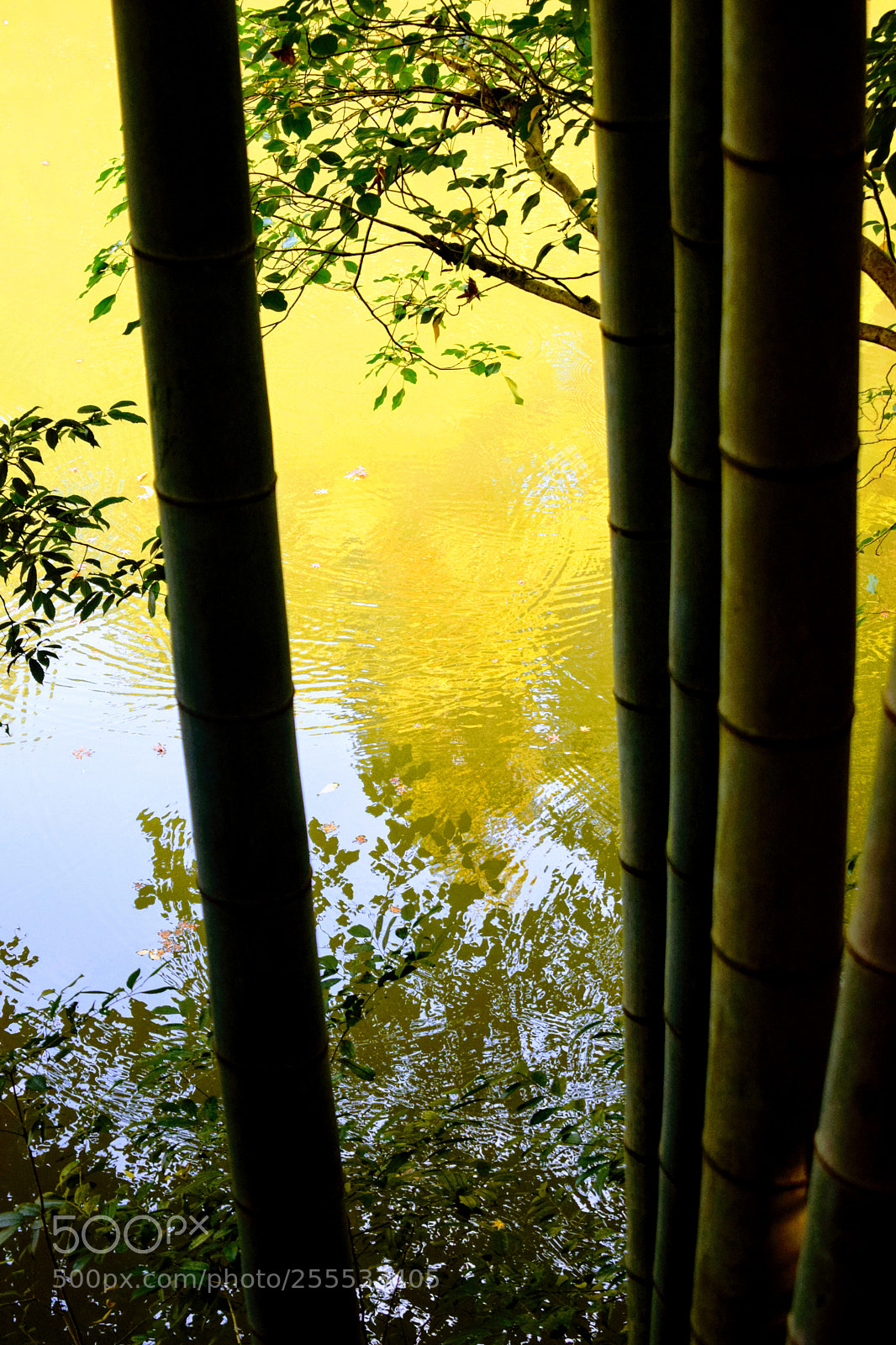 Nikon D3300 sample photo. Dsc photography