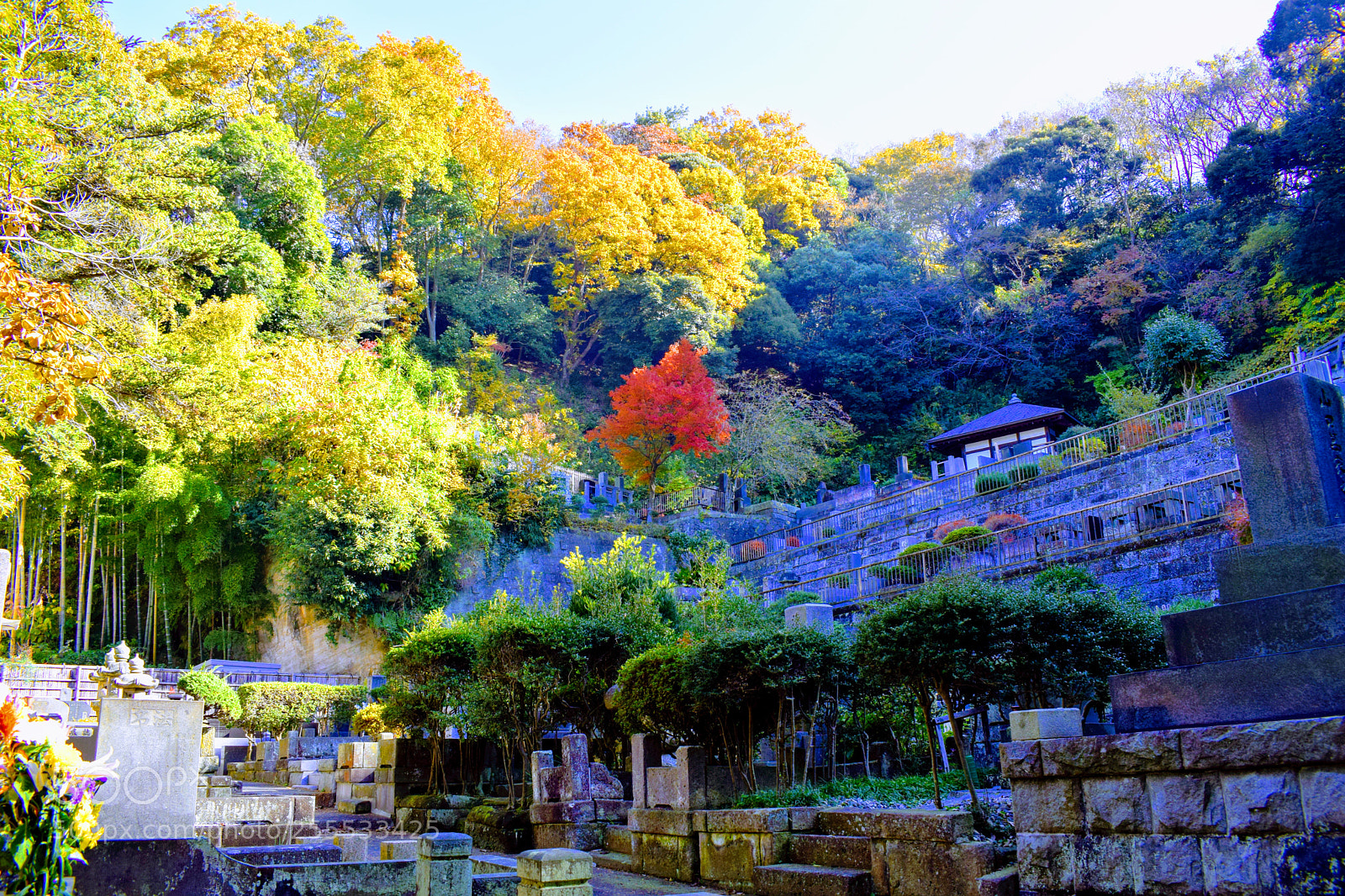 Nikon D3300 sample photo. () photography