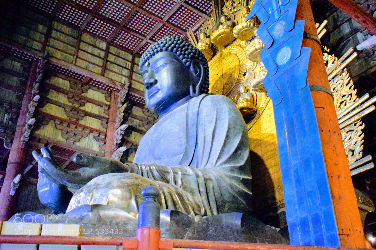 Nikon D3300 sample photo. Dsc photography