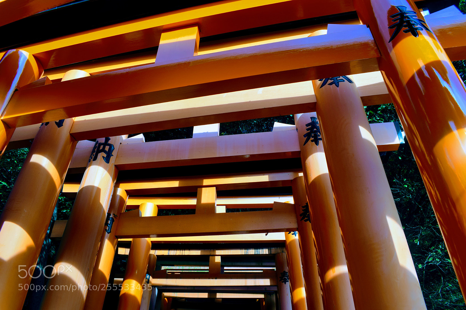 Nikon D3300 sample photo. () photography