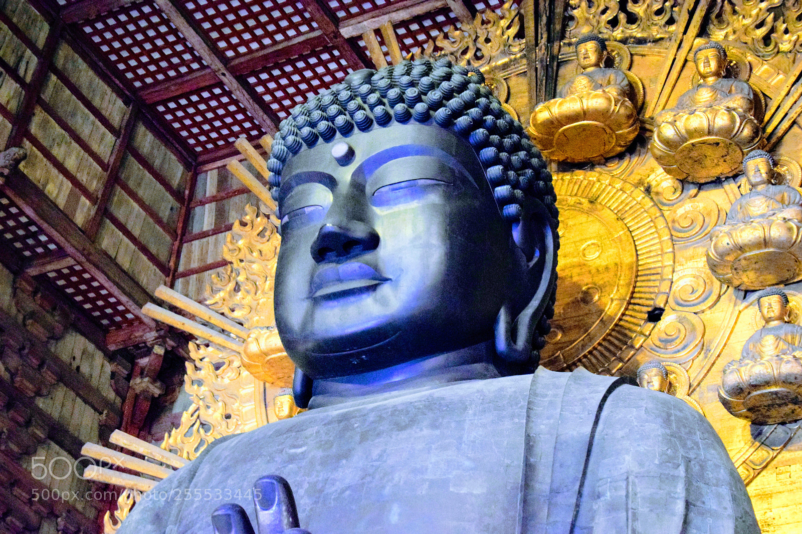 Nikon D3300 sample photo. Dsc photography