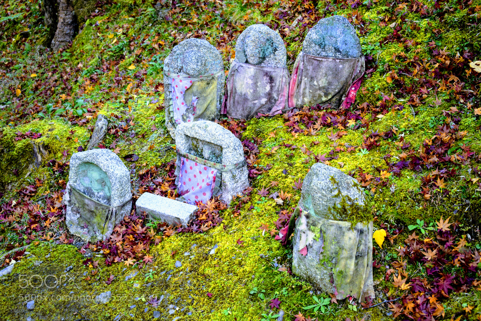 Nikon D3300 sample photo. Dsc photography