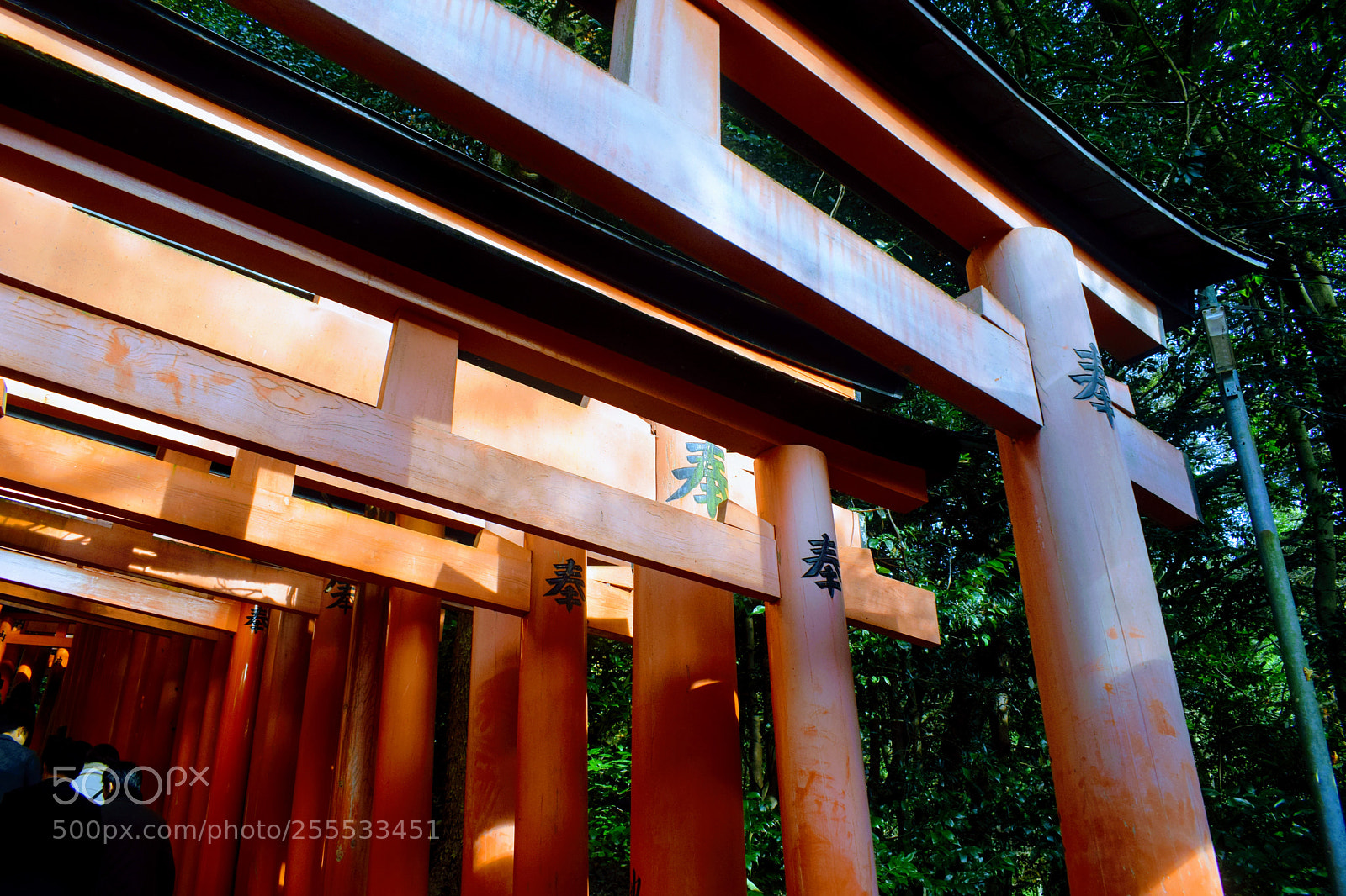Nikon D3300 sample photo. () photography